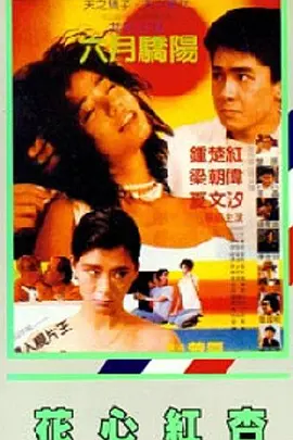 清晰在线播放观看