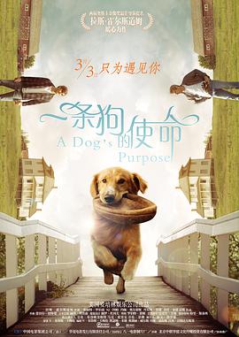 中文字幕在线手机播放