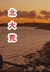 中文字幕在线手机播放