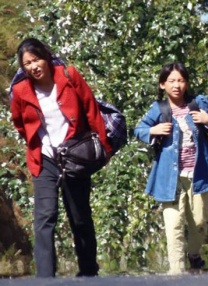 高清蓝光在线观看