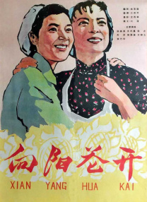 手机免费播放
